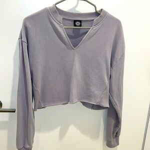 Pacsun Cropped Vneck Sweatshirt